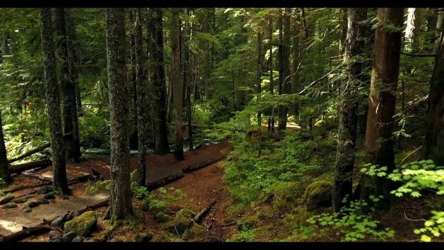 Расслабляющая музыка для сна, медитации борьбы со стрессом music and videos for relaxation and slee смотреть онлайн