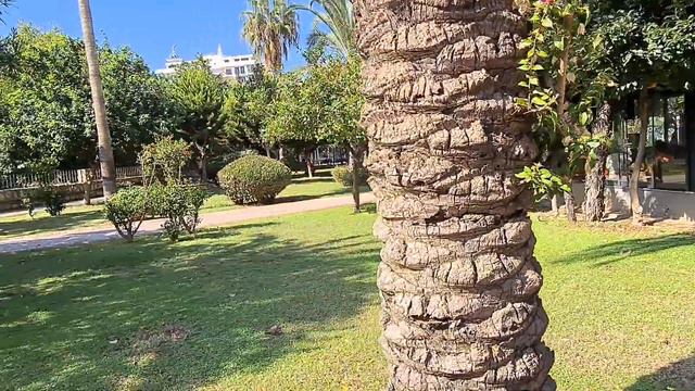 Дорога к морю. Пляж отеля Sun Star Beach, Махмутлар( Алания ) смотреть онлайн