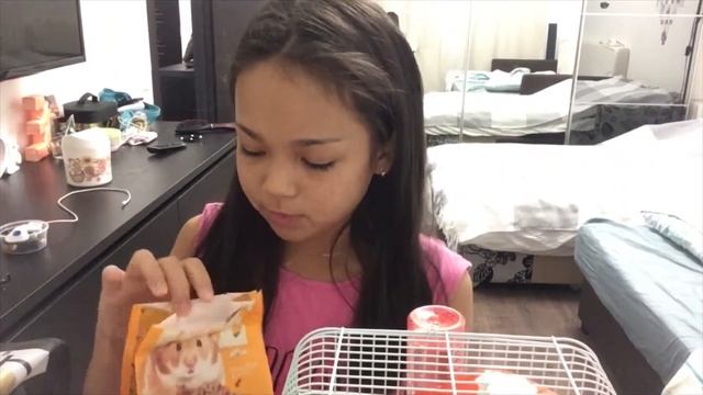 Что нужно для содержания джунгарского хомяка?? смотреть онлайн