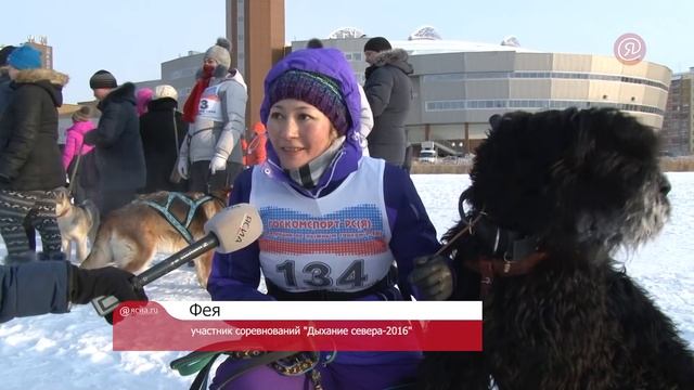 Соревнования по ездовому спорту "Дыхание севера-2016" смотреть онлайн