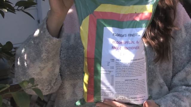 Lime Tree : How to Care for Lime Trees смотреть онлайн