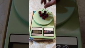 Черешня Регина