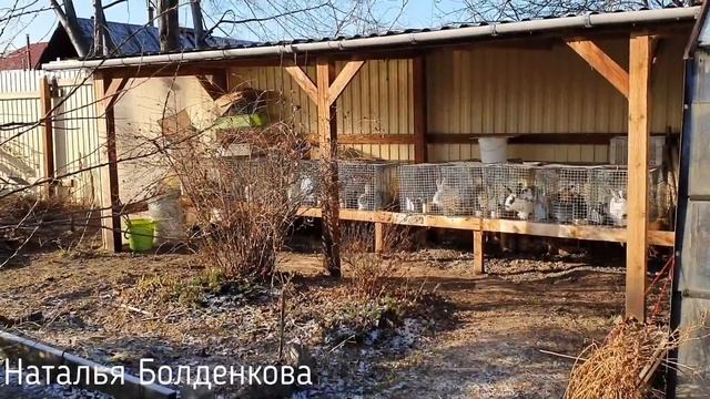 Наша живность//Поставили забор//Весь день на кухне смотреть онлайн