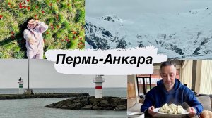 Грузинские пограничники нашли подделку в водительских правах 8-11.04.2023 #1