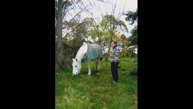 SENES Flamenco in ABC News Breakfast смотреть онлайн