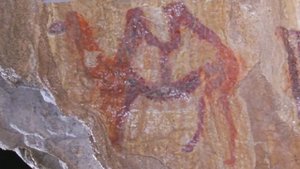 Терра Башкирия, Terra Bashkiria Гаплогруппы R1b