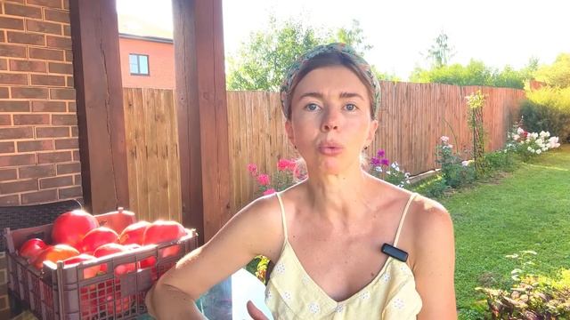 ЭТИ ТОМАТЫ НЕ ПОДВЕЛИ. Вкусные, мясистые томаты без плечиков и прожилок
