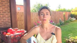 ЭТИ ТОМАТЫ НЕ ПОДВЕЛИ. Вкусные, мясистые томаты без плечиков и прожилок
