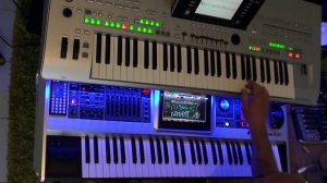 Cyndi Lauper   Girls Just Want To Have Fun COVER by Albert.mp4