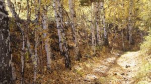 Я создаю проект 2 класс. Французский замок г. Миасс