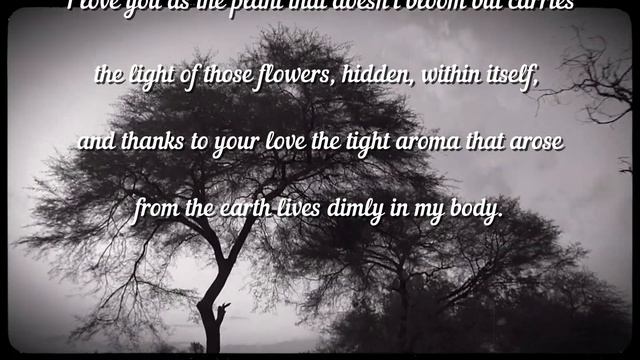 One Hundred Love Sonnets: XVII by Pablo Neruda. Neruda’s most famous sonnets. смотреть онлайн