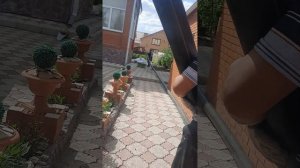 Прокол мини гнб установкой 27 метров из колодца в приямок и затягивание трубы д110 под канализацию.