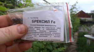 Профилактика и лечение хлороза винограда