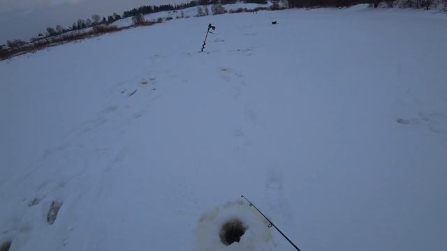 ОКУНЬ НА БАЛАНСИР ПО ПЕРВОМУ ЛЬДУ! зимняя рыбалка.