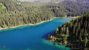 Музыка лечит сердце и сосуды? Успокаивающая музыка восстанавливает нервную систему #6