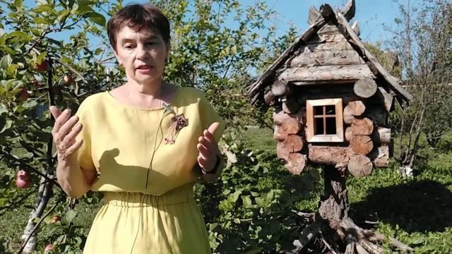 Верховный суд рассказал как наказать, если у подъезда темно смотреть онлайн