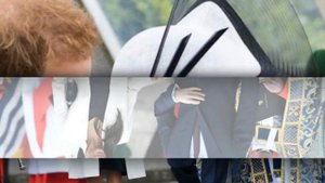 Меган Маркл беременна двойней?