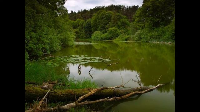 Сок Душа смотреть онлайн