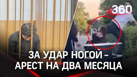 За удар с ноги в Парке Горького подростка арестовали на два месяца