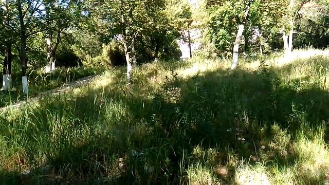 Как снять психологические блоки, как возвратить здоровье. смотреть онлайн