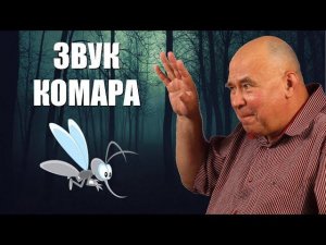 С какой частотой машет крыльями комар?