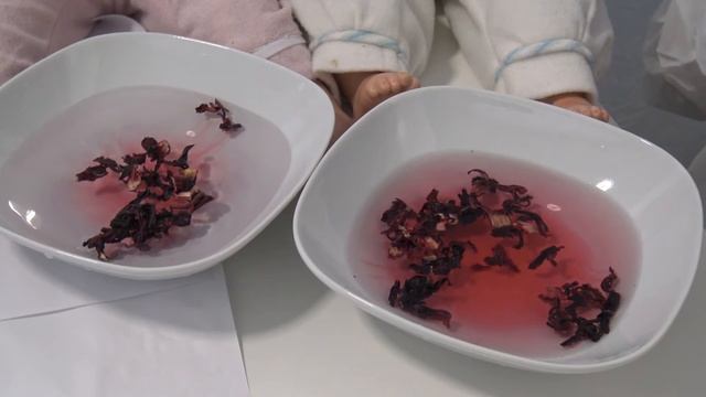 ТЕМА КОСМОС:эксперименты смотреть онлайн