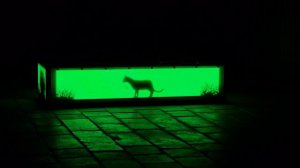 Необычная скамейка.