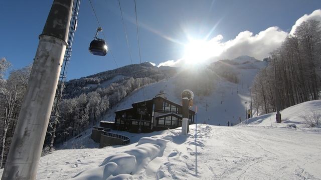 GH010708 20240123 Альпика смотреть онлайн