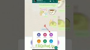Как отправить видео через whatsapp
