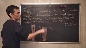 Физиология крови. Скорость оседание эритроцитов, белки крови и др.