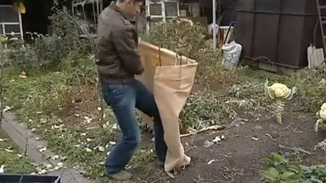 Укрытие роз и плодовых деревьев смотреть онлайн