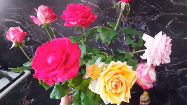 Продам печку и куплю корову/напугала.../Зачетный Бизнес-план смотреть онлайн