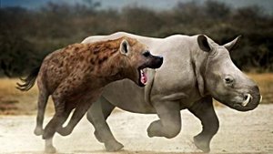 MARCH/28/20  Dinocrocuta gigantea