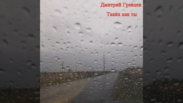 Дмитрий Гревцев - Таких как ты