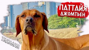 Паттайя Джомтьен 2023: Путешествие в Тайский Рай!