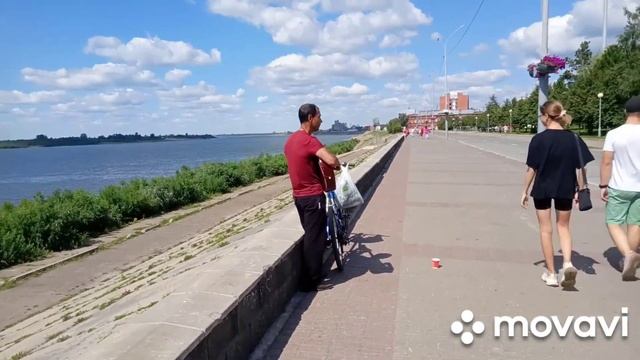 Прогулка по набережной Томи, кедры в центре города Томска. смотреть онлайн