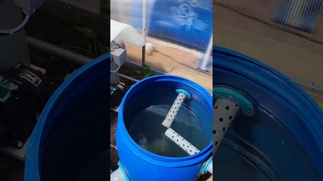 Барабанный фильтр для пруда, чистая вода