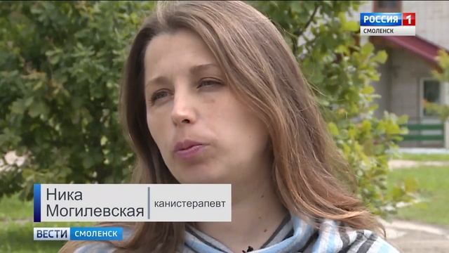 В Смоленской области опробовали канистерапию смотреть онлайн