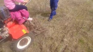 пробуем убирать сухую траву бороной