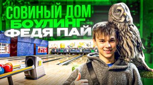 СОВИНЫЙ ДОМ И БОУЛИНГ / НАПАЛА СОВА!