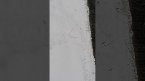 Шармакс 650 он же 680 (шармань), пухляк по руль