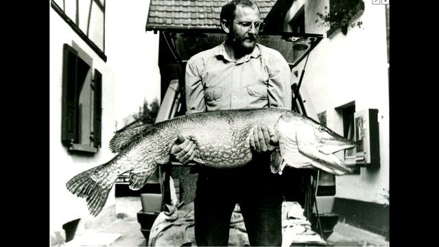 ТОП 5 ОГРОМНЫХ ЩУК РЕЧНЫЕ МОНСТРЫ пойманные рыбаками смотреть онлайн