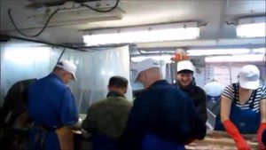 Обработчики матросы - не из лёгких в море труд