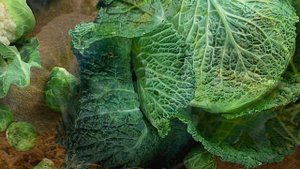 Польза капусты - это нужно знать