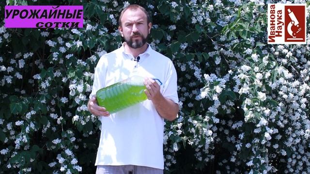 Позеленела вода в бочке, бассейне и пруду? Что делать? Поливать или вылить? смотреть онлайн