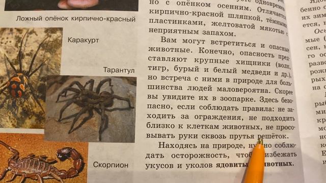 📚Биология/5/Плешаков/Тема 19🖍️Живые организмы и наша безопасность/08.01.24 22:10