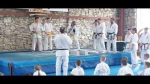 Тамэсивари - разбивание досок.  Каратэ Киокушинкай.  Пахра 09.04.2023