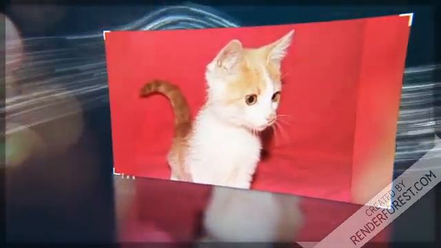 Милые малыши - Чук и Гек смотреть онлайн