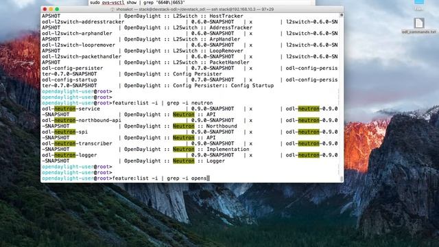 How to deploy OpenStack Ocata DevStack with OpenDaylight Boron in CentOS-7 in VirtualBox on Mac смотреть онлайн