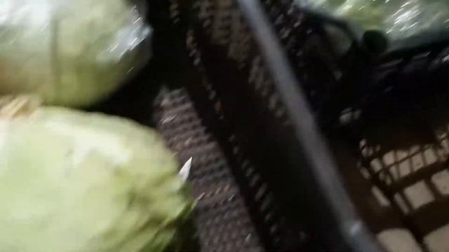 Как хранить капусту на зиму в погребе.